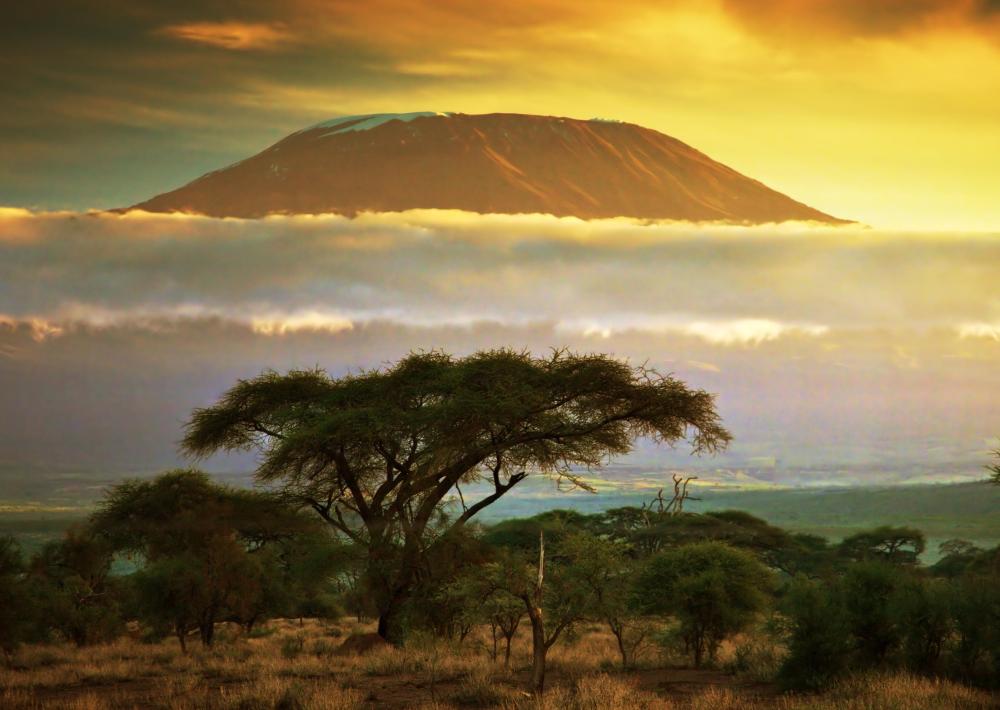 Eco-minded safari companies offer treks and other ways to spot big game in Africa.