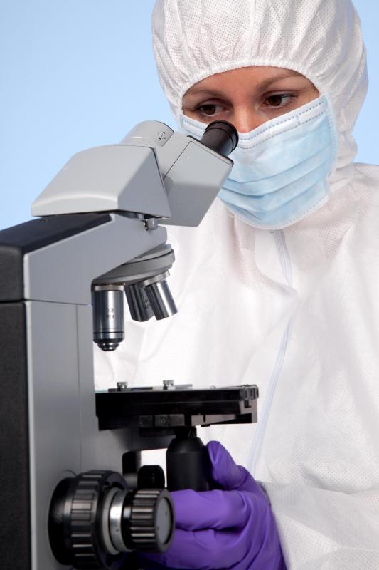 Biochemists study life at the cellular and molecular level.