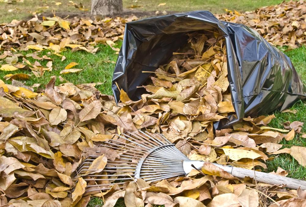 A cemetery caretaker may be responsible for raking leaves.