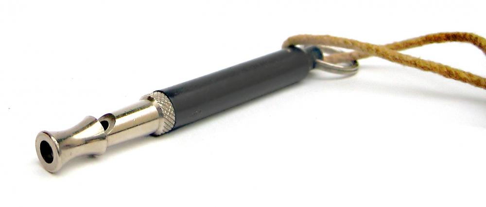 Some animal trainers use dog whistles.