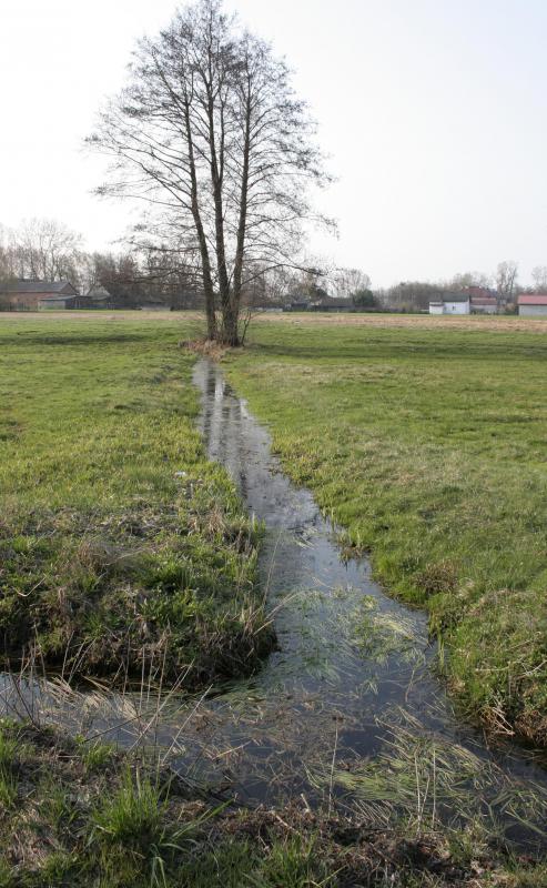 A drainage engineer will help ensure that ditches are built to exact specifications.