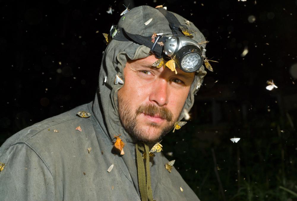 Some entomologist are also lepidopterist and concentrate on moths and butterflies.