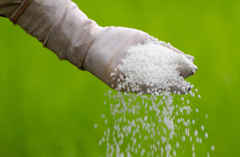 Some chemical engineers may focus on developing fertilizers or pesticides for the agriculture industry.