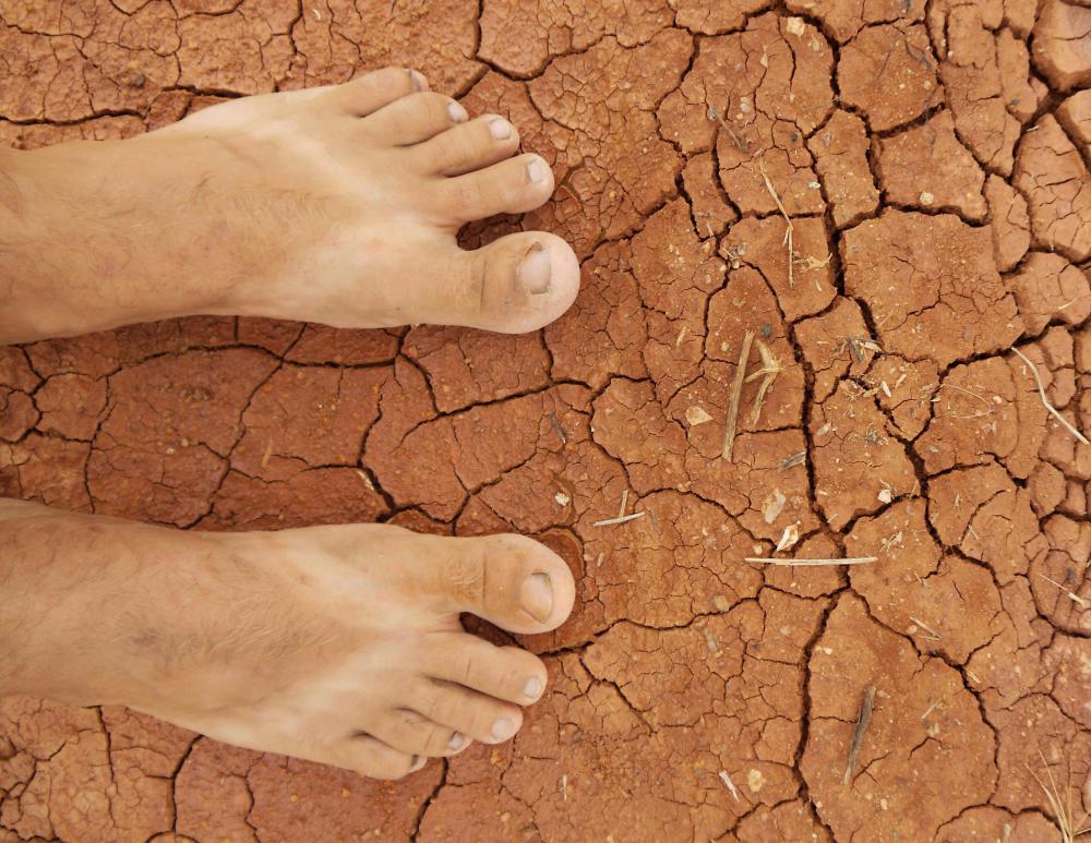 Some geologists research the impacts of drought on the soil.
