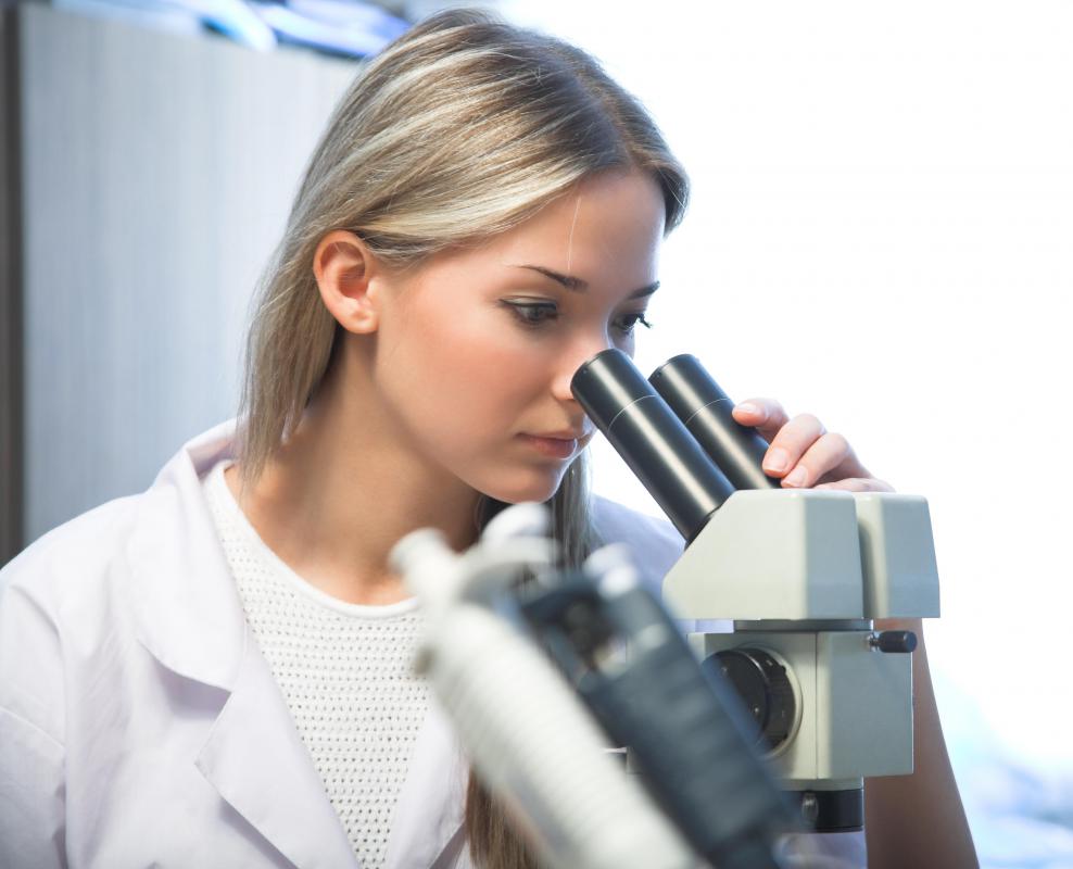 The body of a scientific research paper typically explains the methodology the author used.