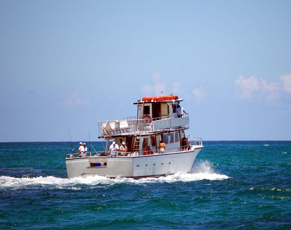 Professional sailors sometimes work on fishing boats.