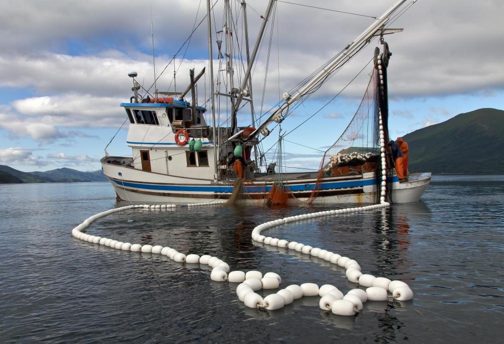Many people who work in the fishing industry are anglers.