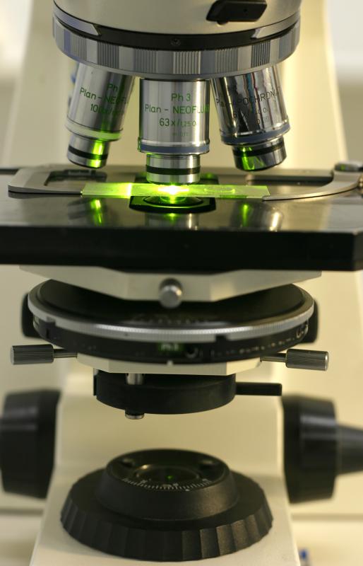 Fluorescence microscopes may be used in genetic research.