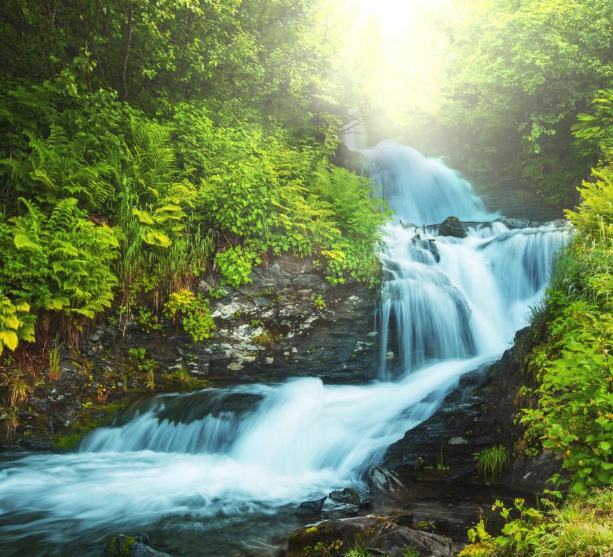 A water resources engineer may test for contamination in natural springs.