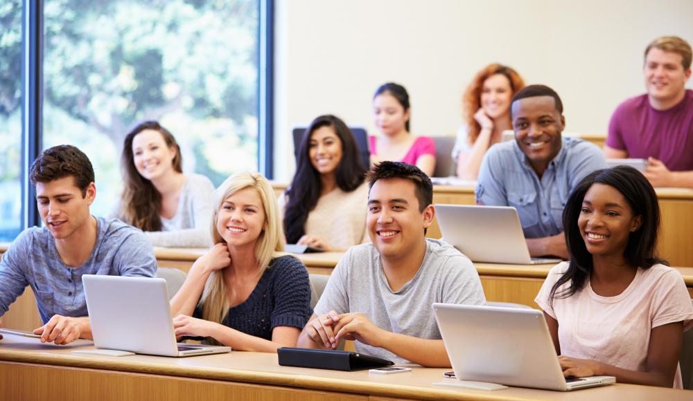 Registered nurses usually earn associate or bachelor degrees in nursing.