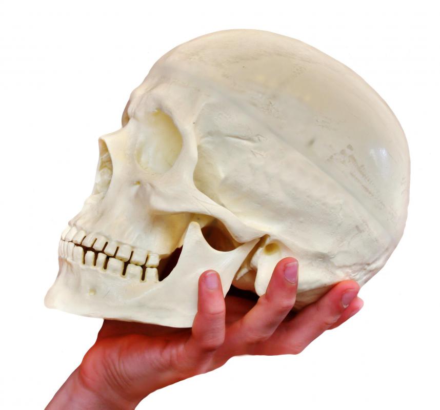 Artifacts can be a valuable primary resource in archeology.