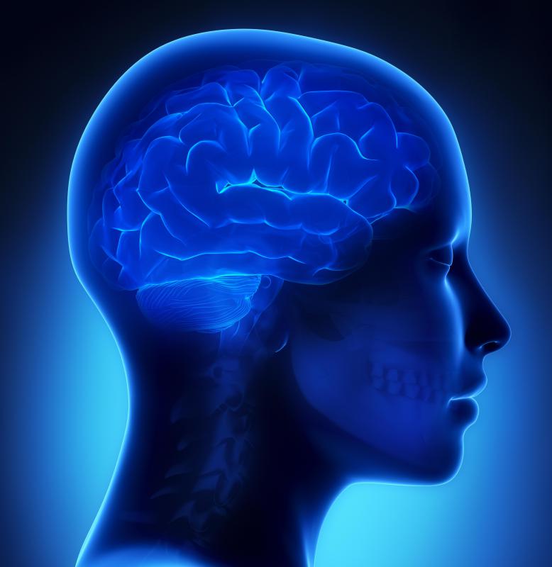 Neurology is a medical specialty that focuses on conditions of the brain and other parts of the human nervous system.