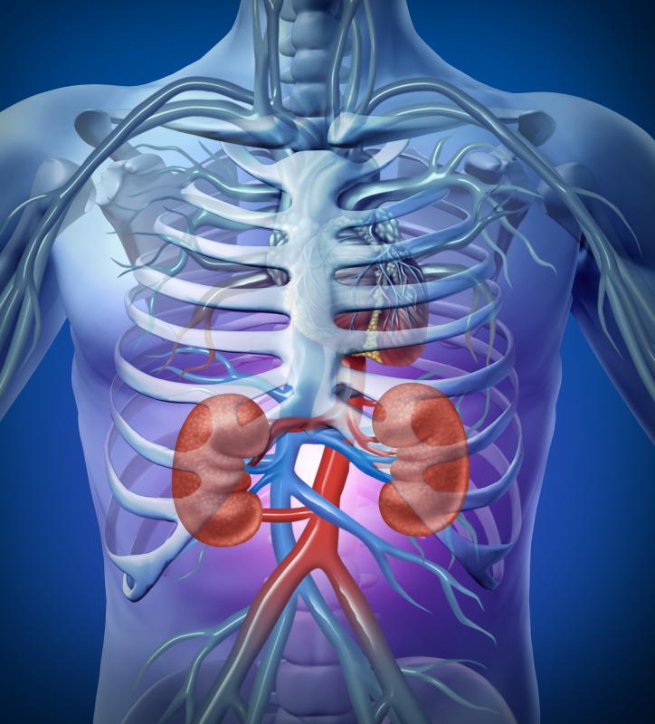 A urologist can treat kidney problems.