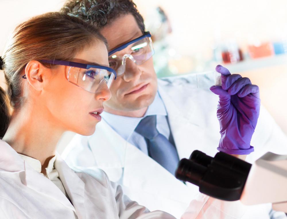 Most bacteriologists spend the majority of their time working with samples in the laboratory.