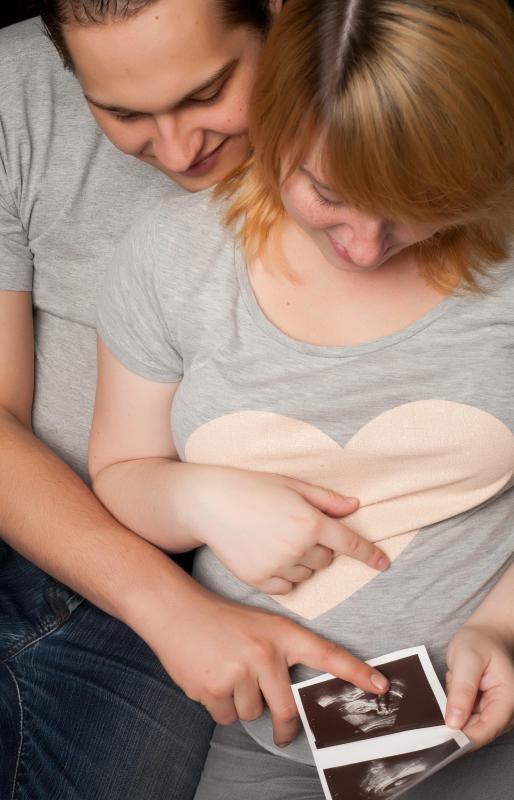 Prenatal nutritionists must have a strong interest in promoting and maintaining health for developing bodies and mothers alike.