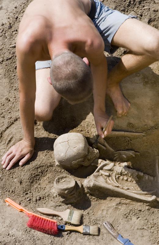 Archaeology majors are often only offered to those pursuing master's degrees.