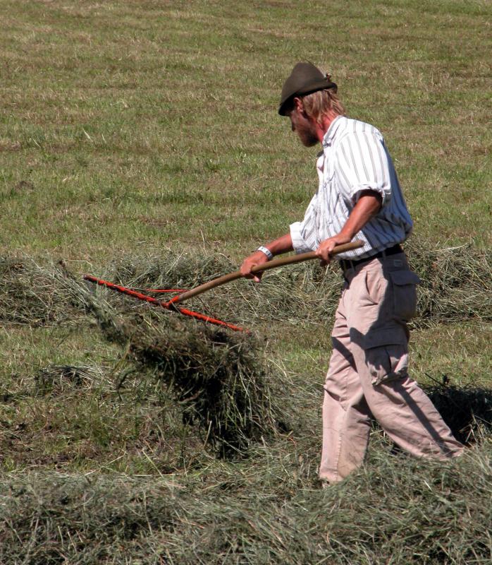A groundskeeper may rake thatch to ensure this debris does not inhibit plant growth.