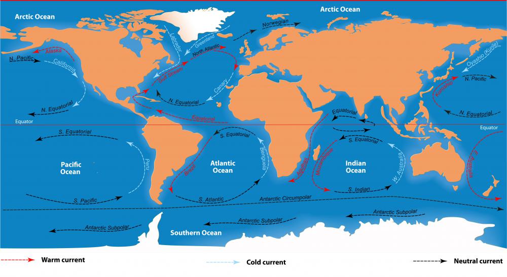 Ocean currents are monitored by a climatologist.