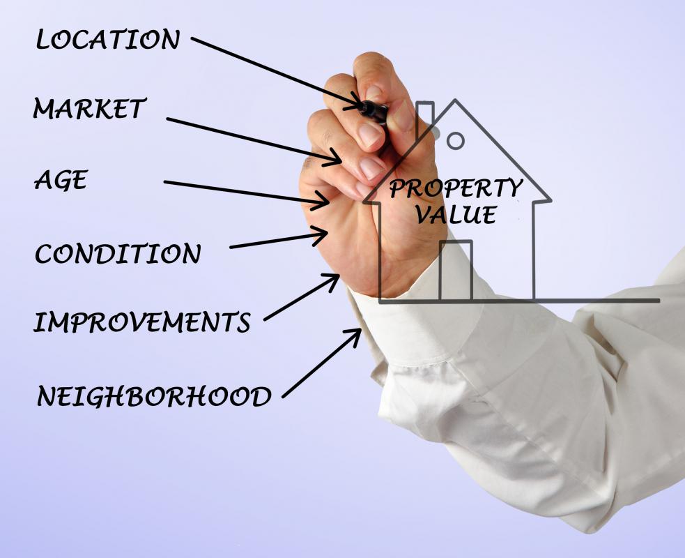 Real estate assistants often have mentors who teach them the ins and outs of the business.