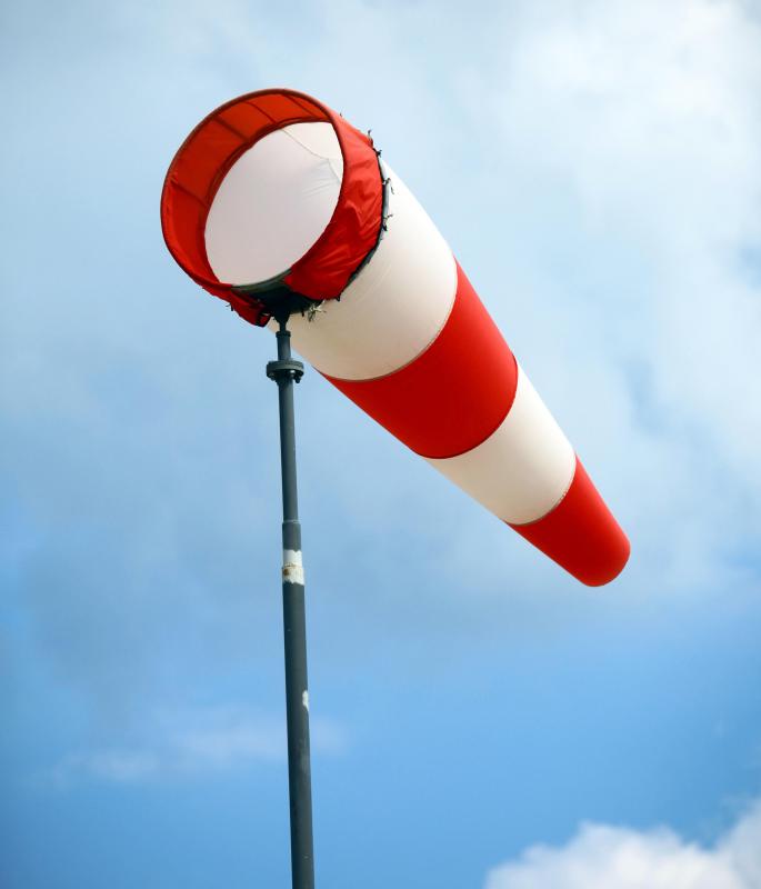 Interns might study wind patters at potential wind farm sites.