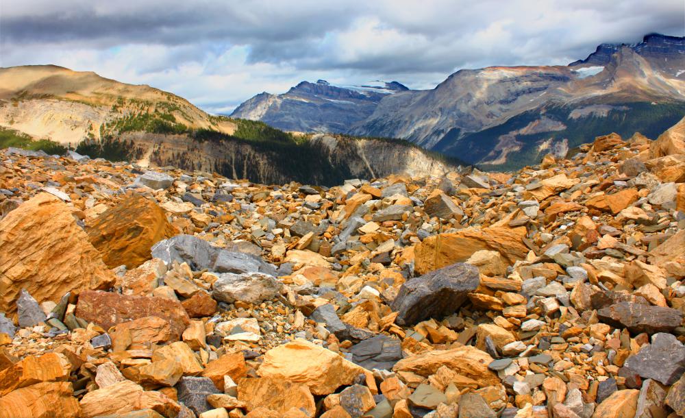 Geologists can specialize in climates, minerals, soils, and many other areas.