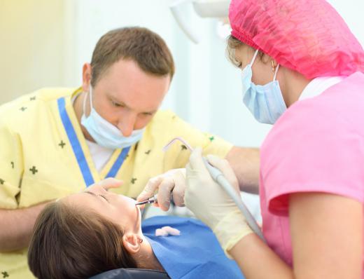 A dental technician trainee offers assistant to a dentist.