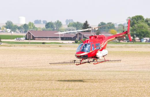 Helicopters are used for crop dusting because they are easier to maneuver than planes.