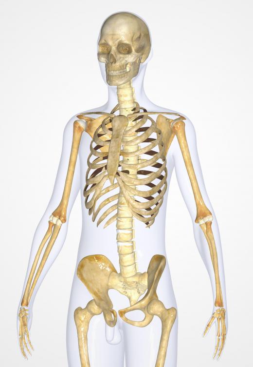 Osteopathy is concerned with the body as a whole.