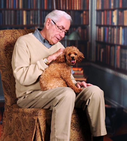 A therapy dog handler may take their dog to visit an elderly person.