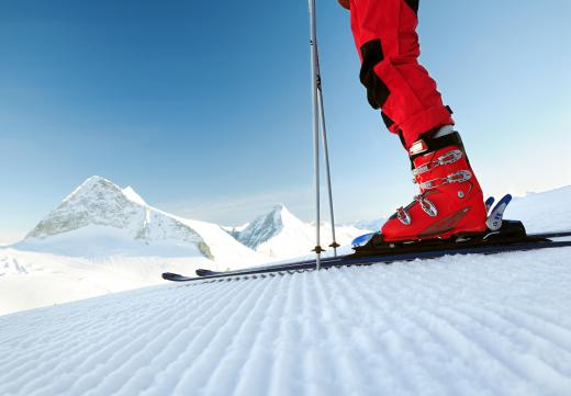 Travel directors may help organize recreational activities for clients.