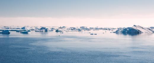 Petroleum geologists may explore whether oil deposits exist in parts of Antarctica.
