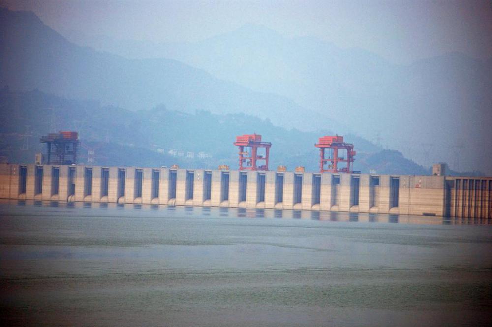 An ecologist might study how building a dam would affect the surrounding environment.