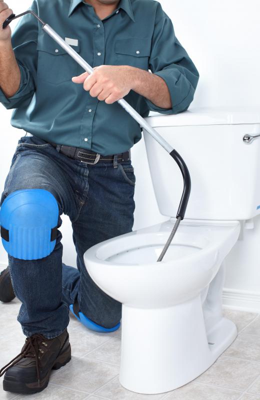 Plumbers repair toilet problems.