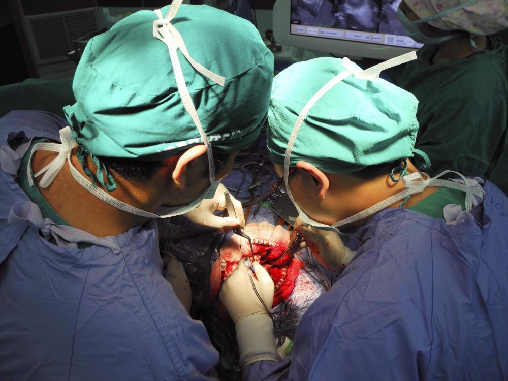 Neurosurgeons can perform surgery on the brain and spine.