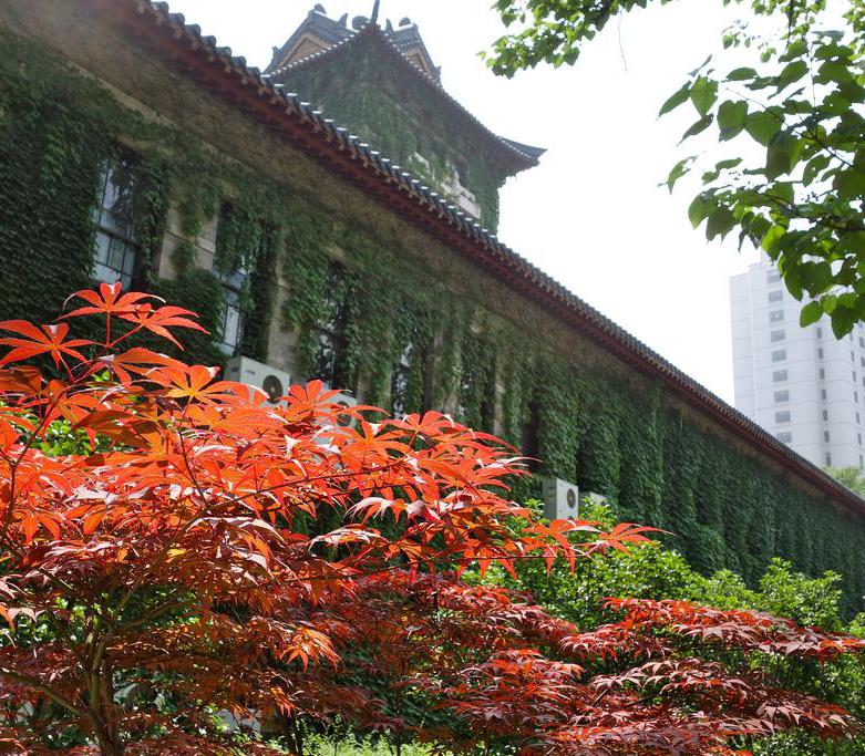 The University of Nanjing, in China, is the oldest in the world.