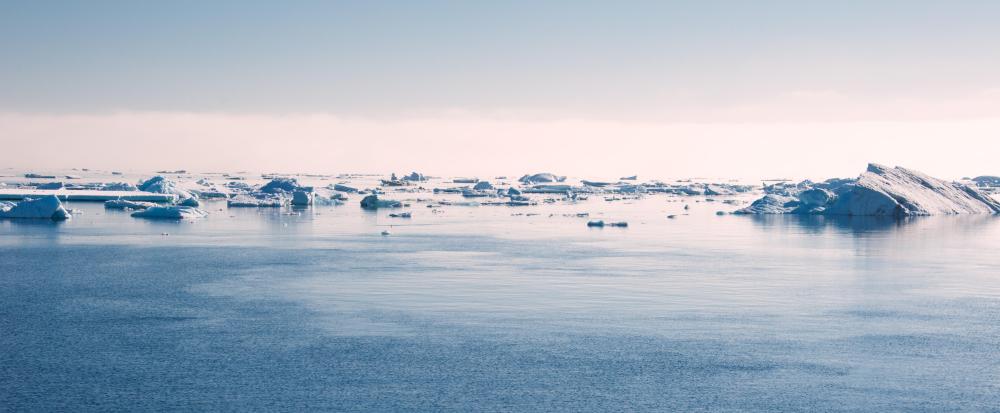 Petroleum geologists may explore whether oil deposits exist in parts of Antarctica.