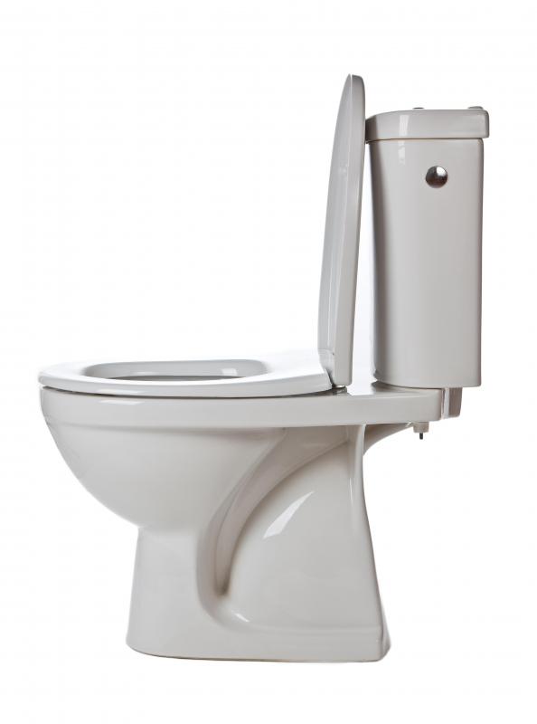 Day porters' responsibilities can include cleaning and maintaining restrooms, including toilets and urinals.
