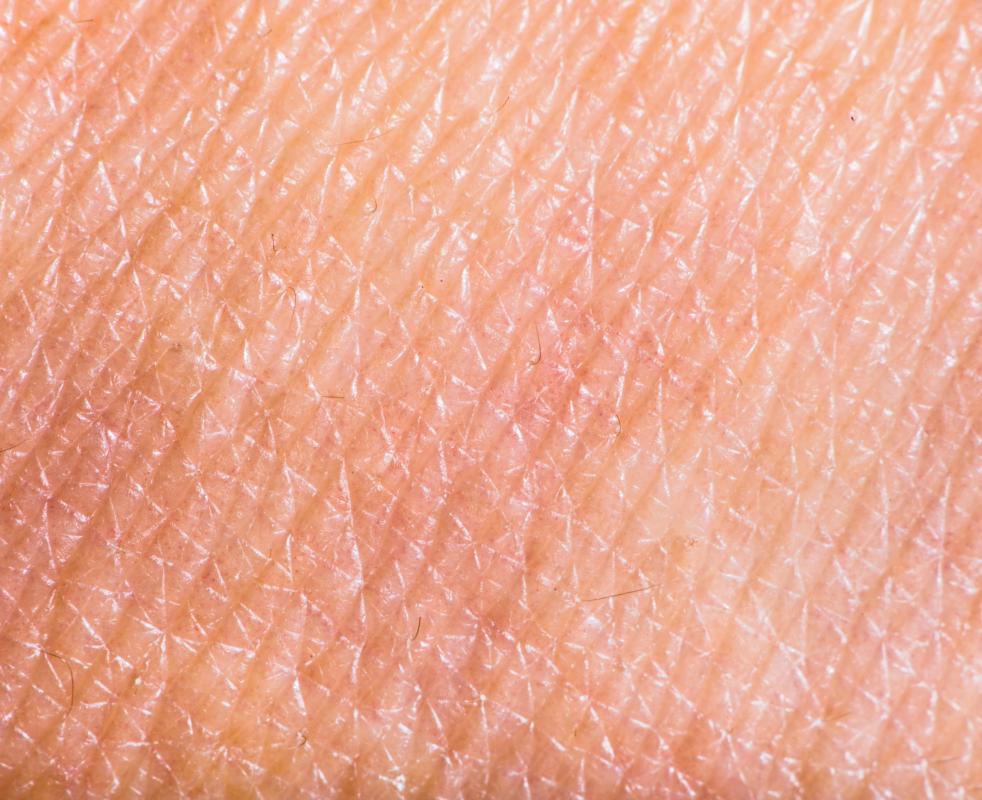 Dermatology is the medical field that focuses on skin health.