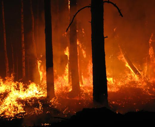 Firefighters who work for the government, in rural areas may be responsible for fighting forest fires.