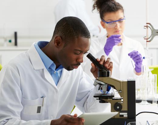 A medical photographer may work in a pathology lab photographing specimens with a microscope.