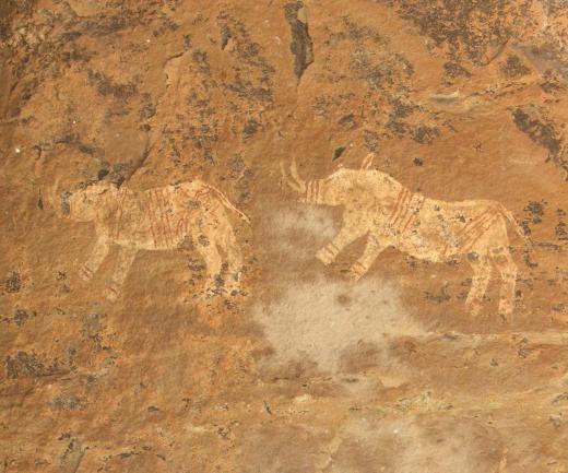 Archaeologists are social scientists who study what past civilizations left behind, including cave paintings.