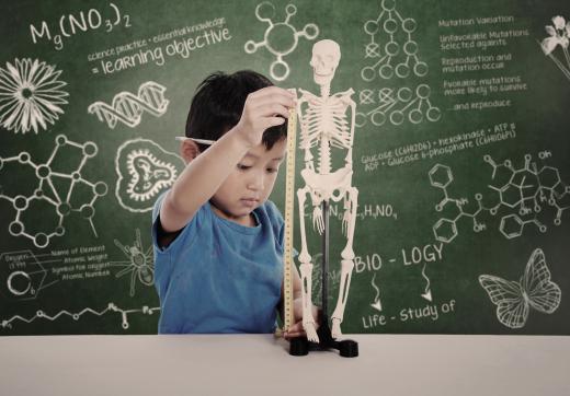 Magnet schools often emphasize certain areas, such as science or math.