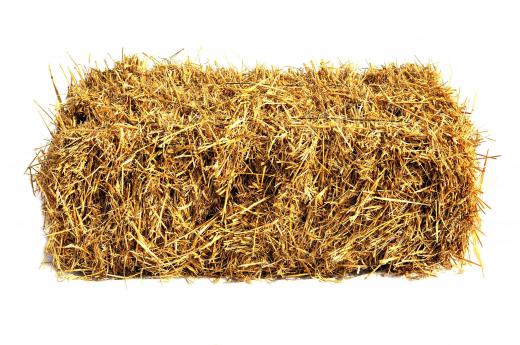 Dairy farmers typically grow and bale their own hay.