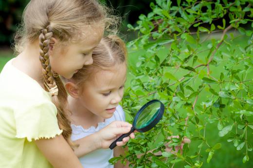 Montessori is an alternative teaching method that emphasizes self-motivated learning.