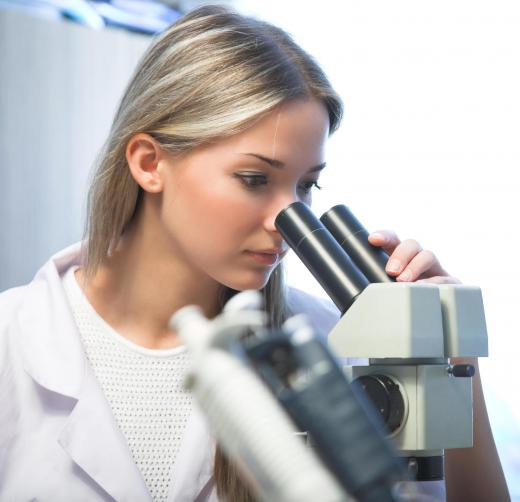 Microbiologists perform tests on various foods.