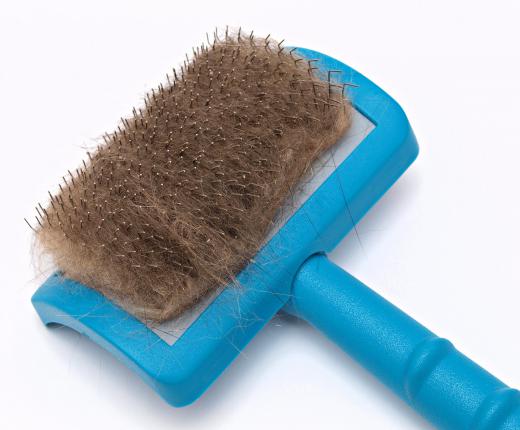 Brushing is typically part of a mobile pet groomer's work.