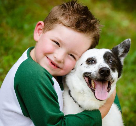 Behavioral science includes the study of the effects of animal-assisted therapy.