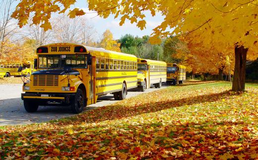 Some eco-friendly schools might replace traditional school buses with vehicles that run on bio-diesel.