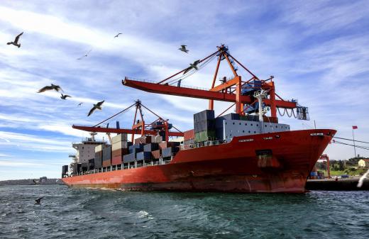 Harbor pilots often guide large, ocean-going vessels like container ships to intermodal terminals.