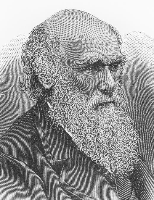 Zoologist Charles Darwin.